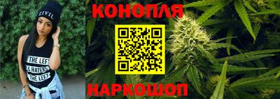 спайс Кингисепп