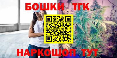 спайс Кингисепп