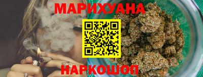 спайс Кингисепп