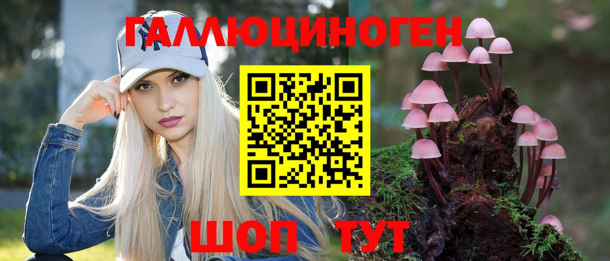 Крымск  Псилоцибиновые грибы Magic Shrooms  Вход с VPN  Псилоцибиновые грибы мицелий 